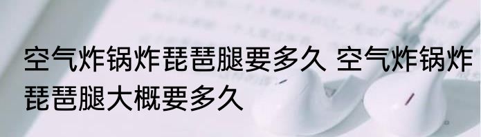 空气炸锅炸琵琶腿要多久 空气炸锅炸琵琶腿大概要多久