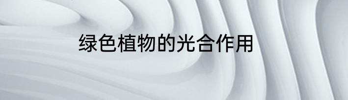 绿色植物的光合作用