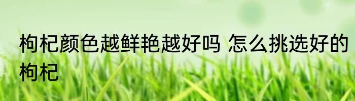 枸杞颜色越鲜艳越好吗 怎么挑选好的枸杞