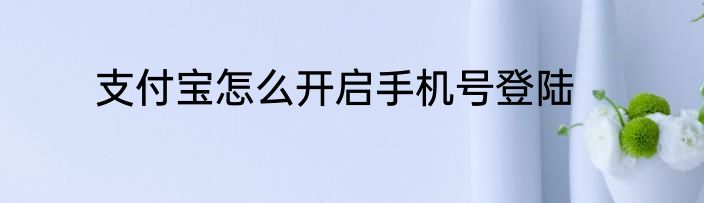 支付宝怎么开启手机号登陆