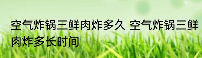 空气炸锅三鲜肉炸多久 空气炸锅三鲜肉炸多长时间