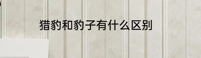 猎豹和豹子有什么区别