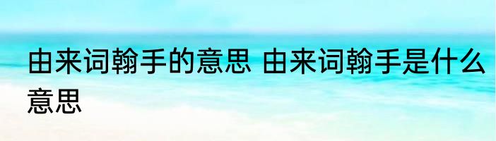 由来词翰手的意思 由来词翰手是什么意思