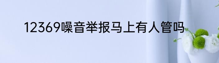 12369噪音举报马上有人管吗