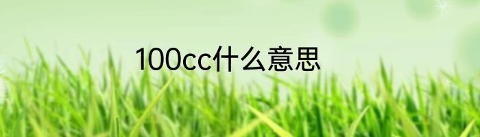 100cc什么意思