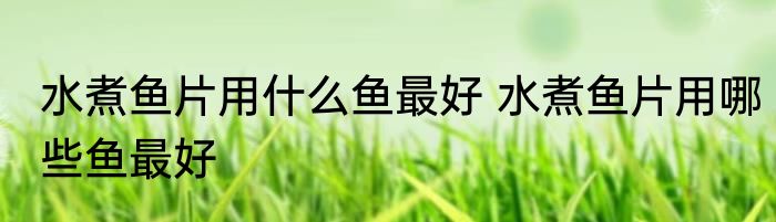水煮鱼片用什么鱼最好 水煮鱼片用哪些鱼最好