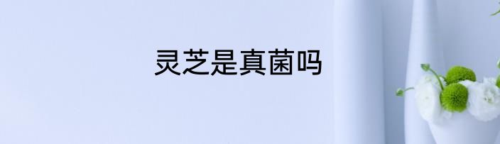 灵芝是真菌吗