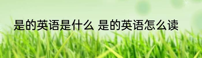 是的英语是什么 是的英语怎么读
