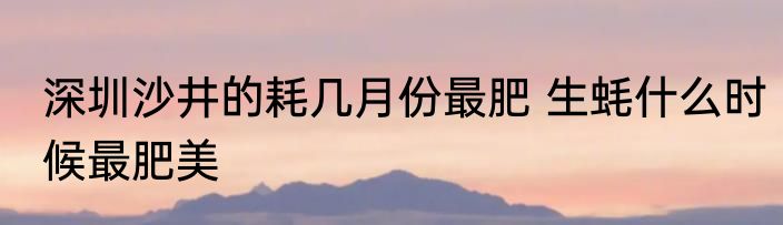 深圳沙井的耗几月份最肥 生蚝什么时候最肥美