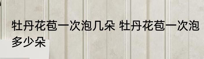 牡丹花苞一次泡几朵 牡丹花苞一次泡多少朵