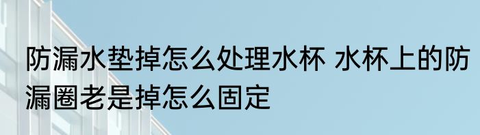 防漏水垫掉怎么处理水杯 水杯上的防漏圈老是掉怎么固定