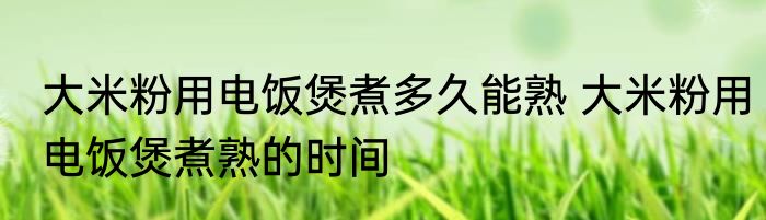 大米粉用电饭煲煮多久能熟 大米粉用电饭煲煮熟的时间