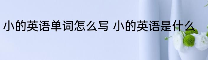 小的英语单词怎么写 小的英语是什么