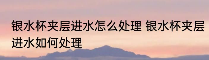 银水杯夹层进水怎么处理 银水杯夹层进水如何处理