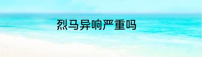 烈马异响严重吗