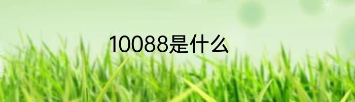 10088是什么