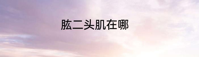 肱二头肌在哪