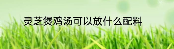 灵芝煲鸡汤可以放什么配料
