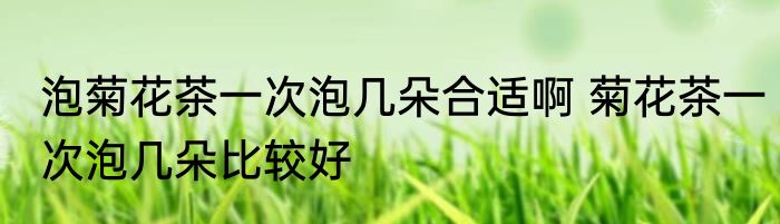 泡菊花茶一次泡几朵合适啊 菊花茶一次泡几朵比较好