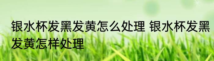 银水杯发黑发黄怎么处理 银水杯发黑发黄怎样处理