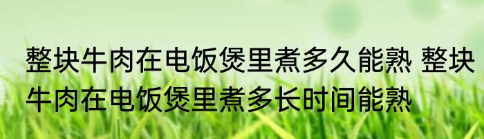 整块牛肉在电饭煲里煮多久能熟 整块牛肉在电饭煲里煮多长时间能熟