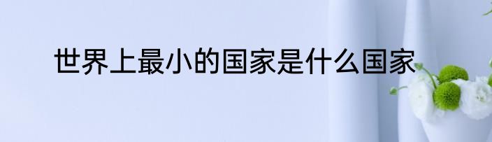 世界上最小的国家是什么国家