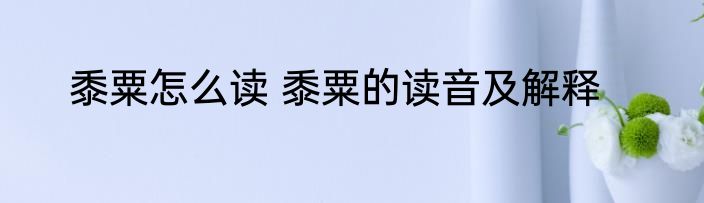 黍粟怎么读 黍粟的读音及解释