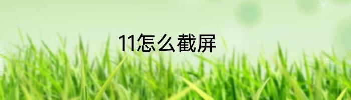 11怎么截屏