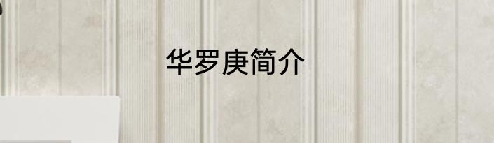 华罗庚简介
