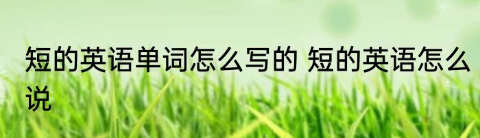 短的英语单词怎么写的 短的英语怎么说