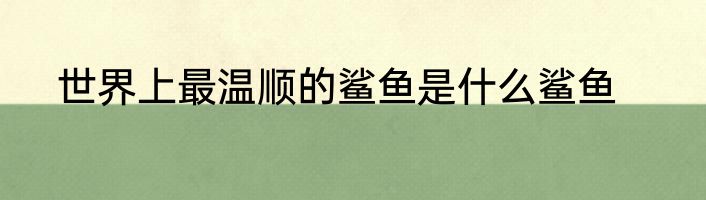 世界上最温顺的鲨鱼是什么鲨鱼