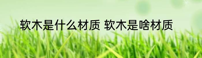 软木是什么材质 软木是啥材质