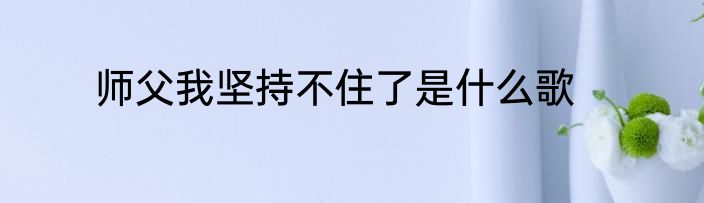 师父我坚持不住了是什么歌