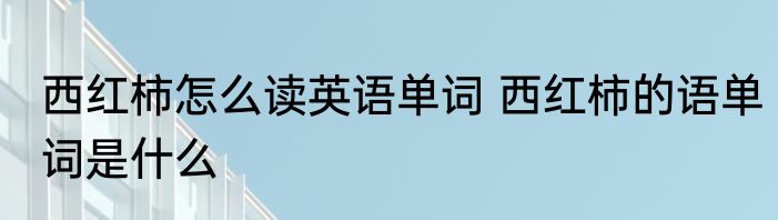 西红柿怎么读英语单词 西红柿的语单词是什么