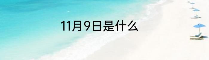 11月9日是什么