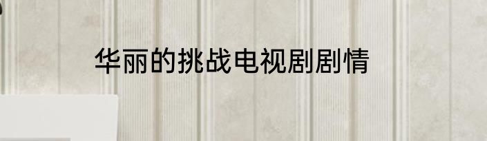 华丽的挑战电视剧剧情