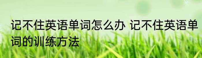 记不住英语单词怎么办 记不住英语单词的训练方法