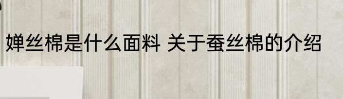 婵丝棉是什么面料 关于蚕丝棉的介绍