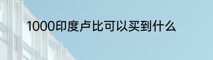 1000印度卢比可以买到什么