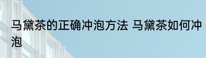 马黛茶的正确冲泡方法 马黛茶如何冲泡