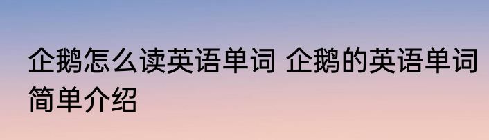 企鹅怎么读英语单词 企鹅的英语单词简单介绍