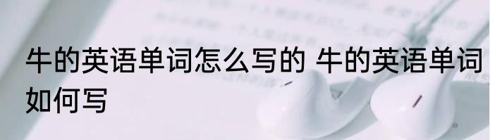 牛的英语单词怎么写的 牛的英语单词如何写