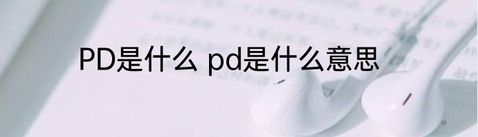 PD是什么 pd是什么意思