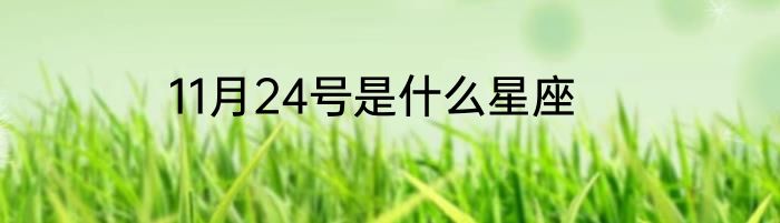 在家怎样做甲鱼火锅好吃