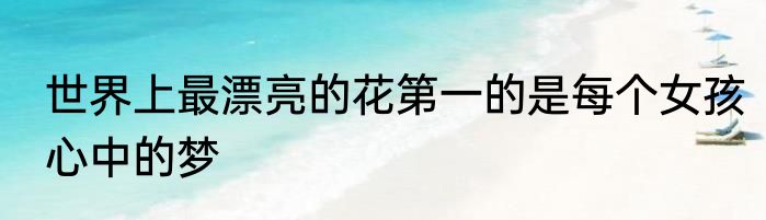 世界上最漂亮的花第一的是每个女孩心中的梦