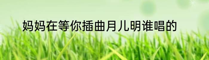 妈妈在等你插曲月儿明谁唱的