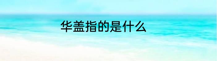 华盖指的是什么
