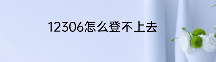 12306怎么登不上去