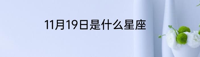 11月19日是什么星座