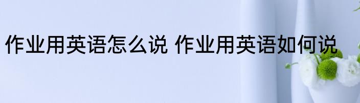 作业用英语怎么说 作业用英语如何说